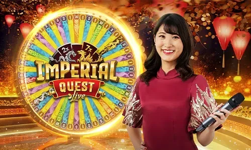 Live Casino Provider